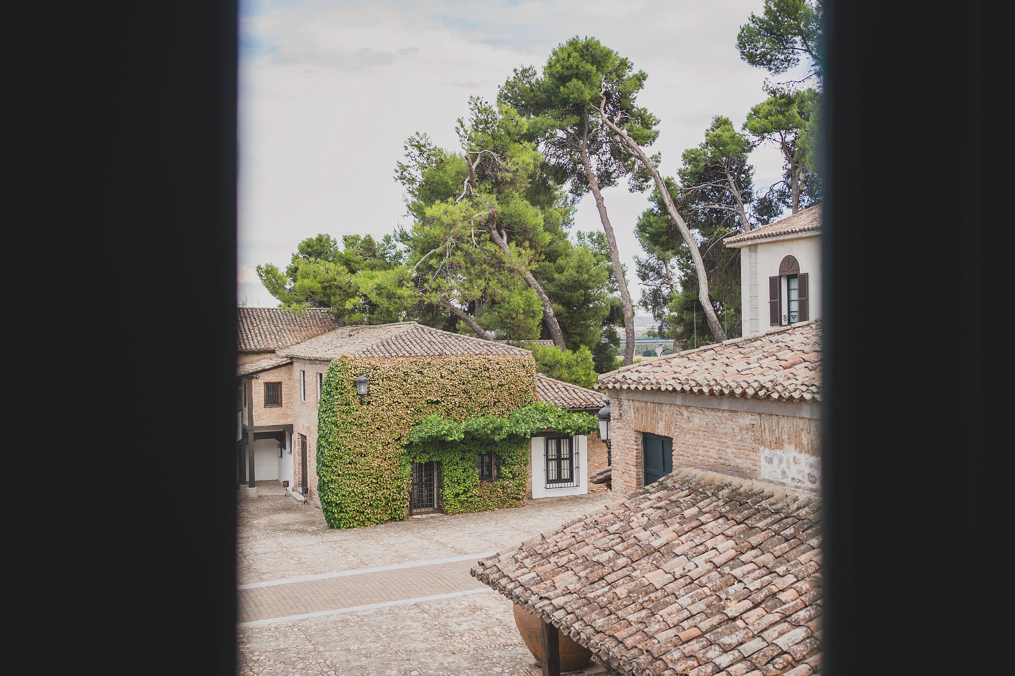 fotografos-bodas-madrid-159499