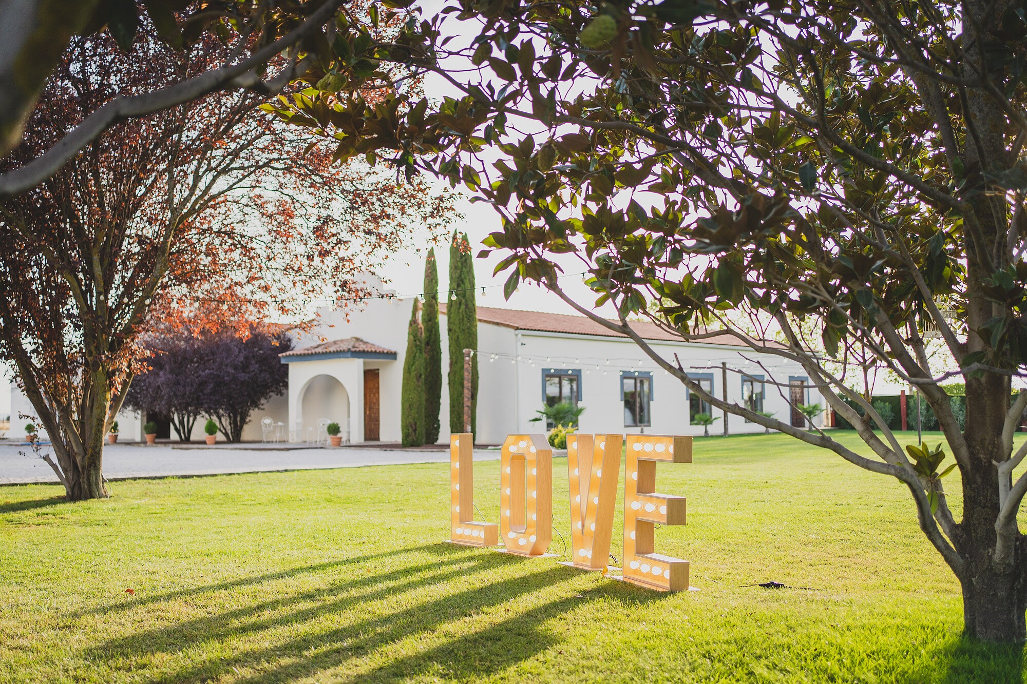 fotografos-boda-madrid-185136