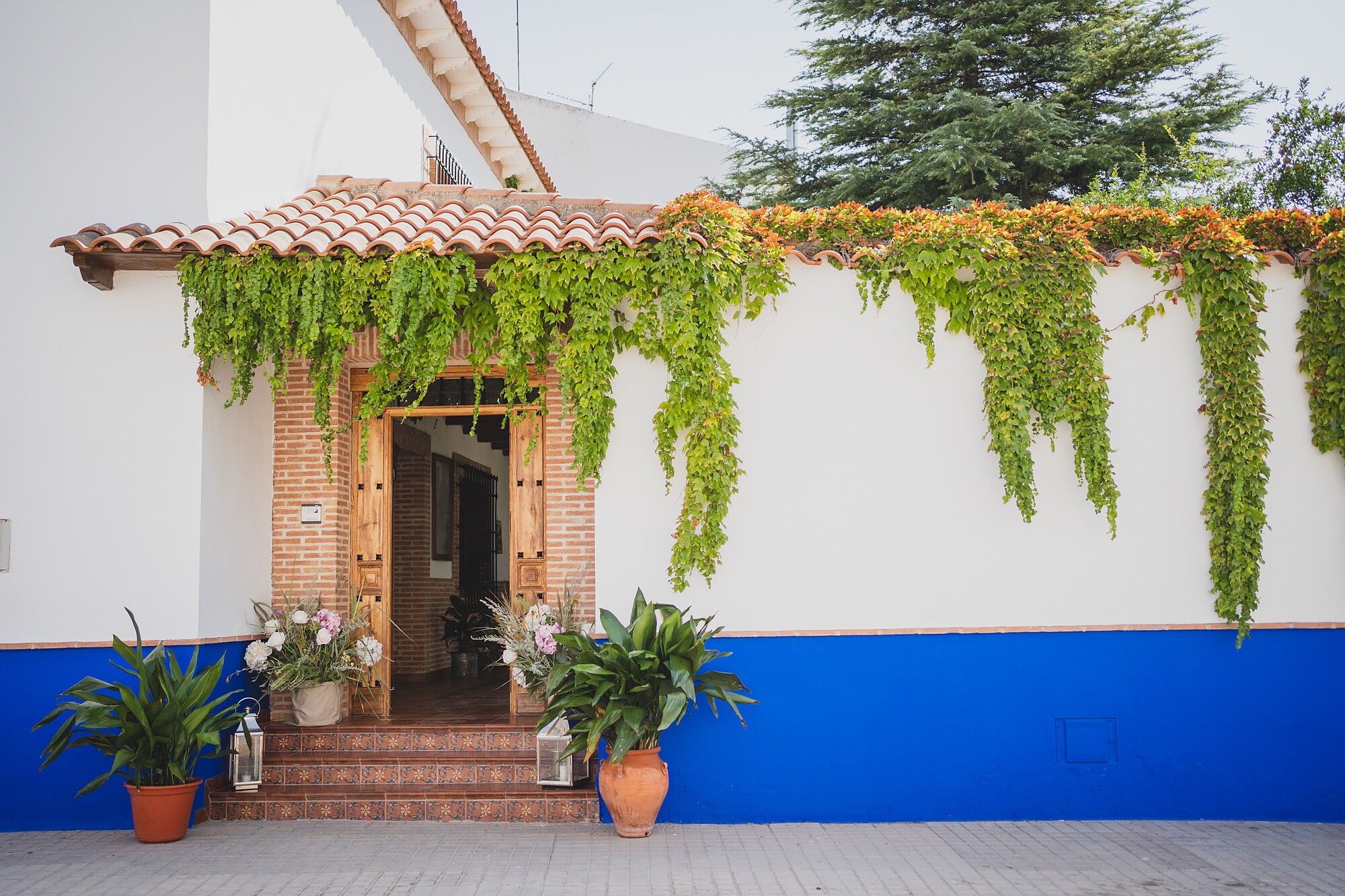 fotografos-bodas-madrid-154996