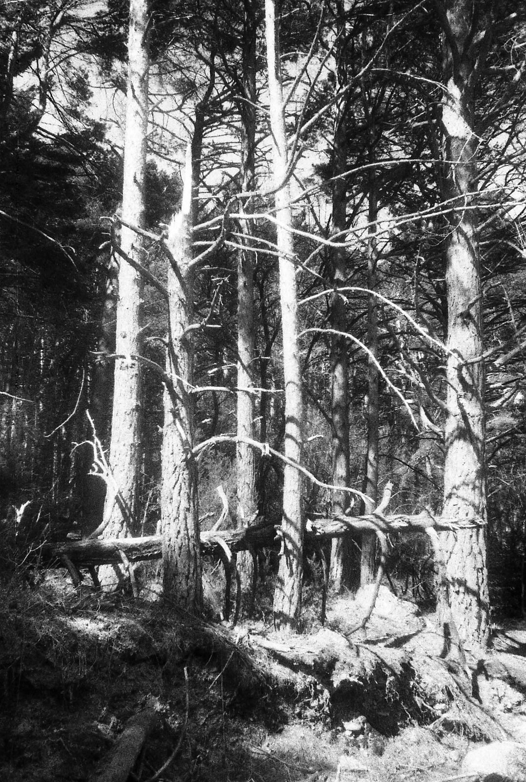 Sanatorio de Agramonte - Moncayo