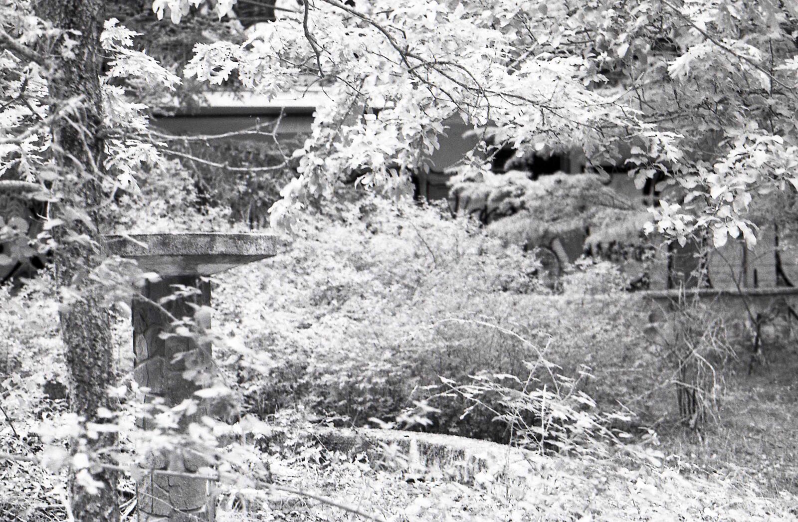 Sanatorio Agramonte - Moncayo