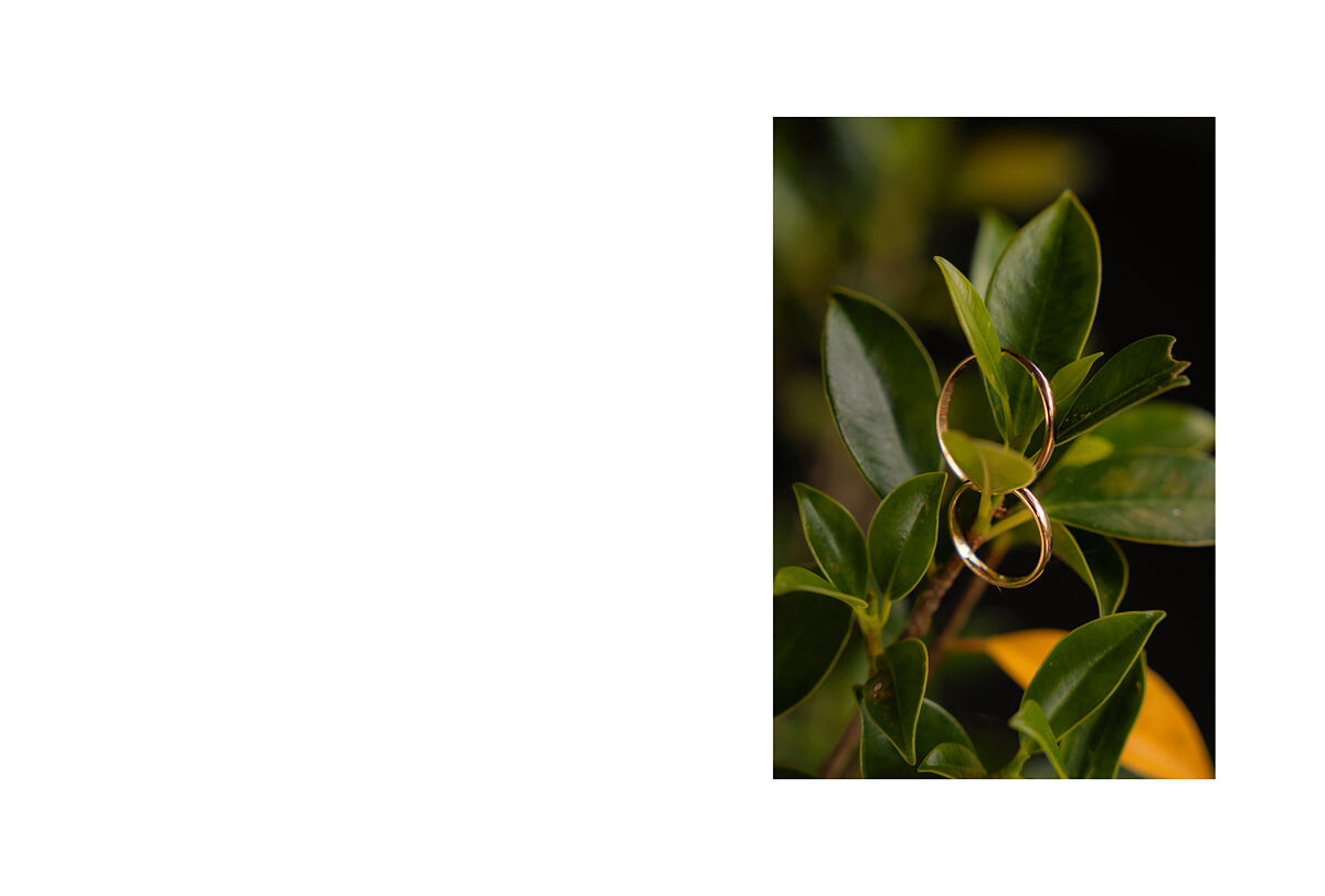 Dario Rey - 01-ts20251110175304952579.jpg