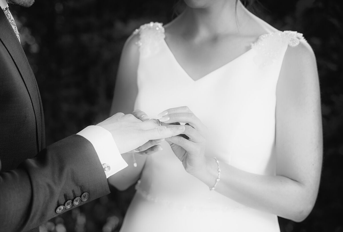 Dario Rey - 14-ts20251110175417155185.jpg