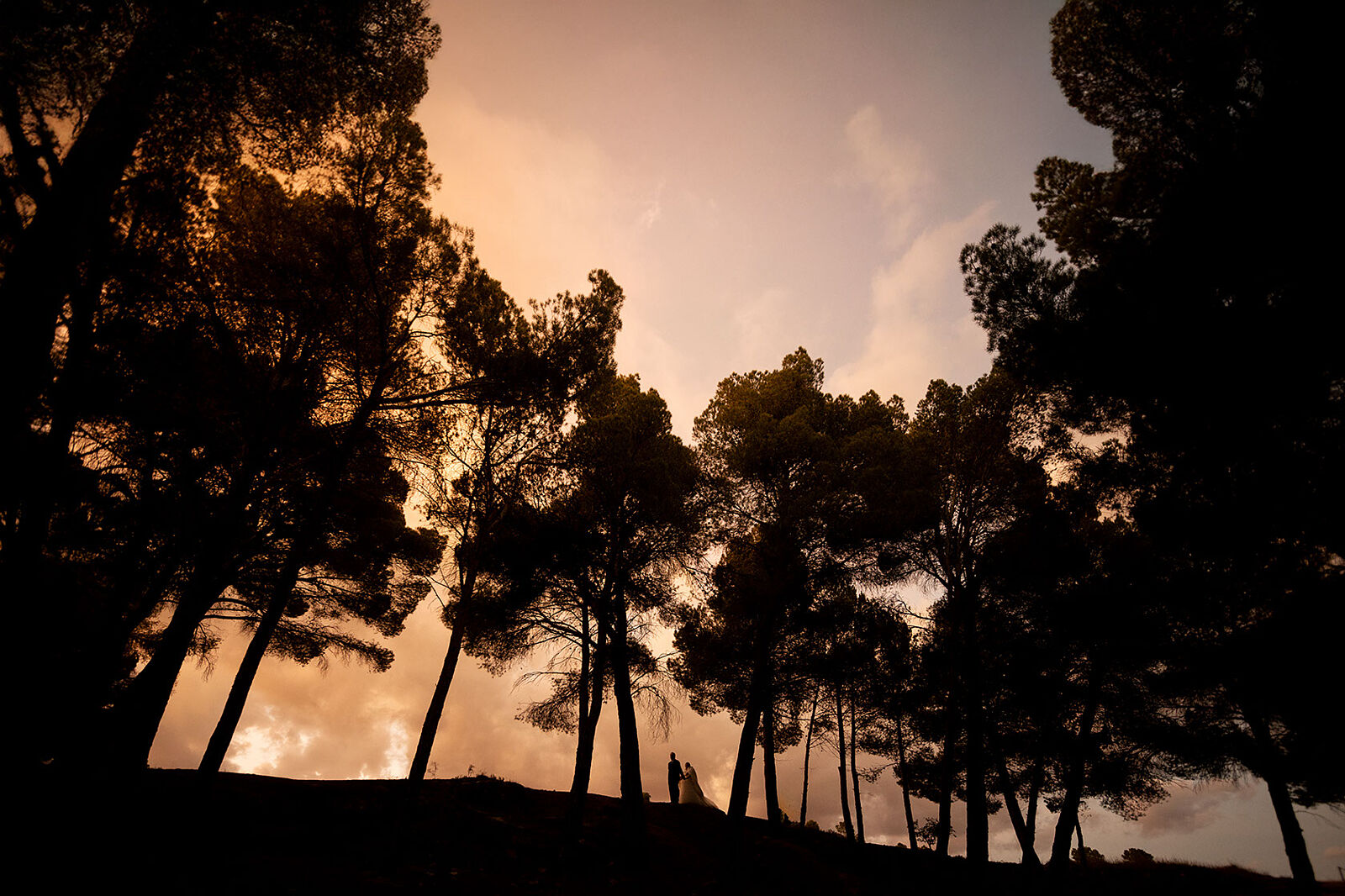 Robcarfoto - joge-y-cristina000449-ts20260205101420567229.jpg