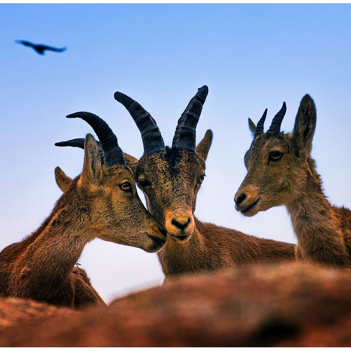 Trekking fotográfico - z-11-ts20260218100120673795.jpg