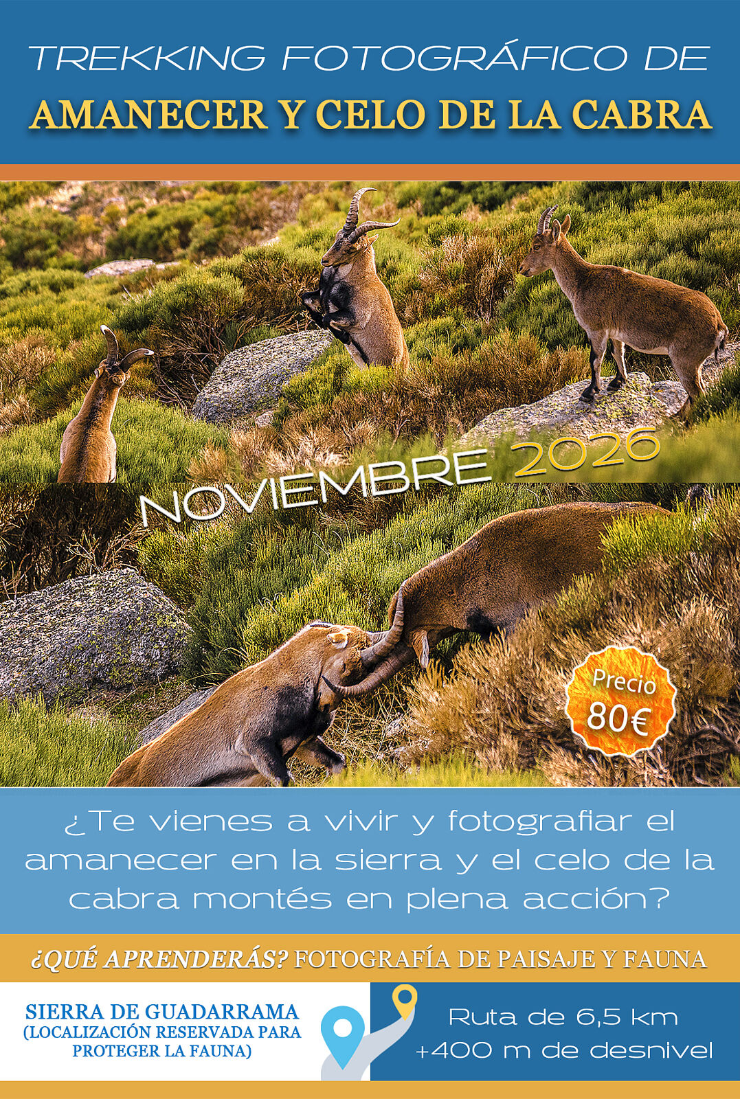 Trekking fotográfico  - fotografia-de-fauna-copia-ts20251205103131524463.jpg