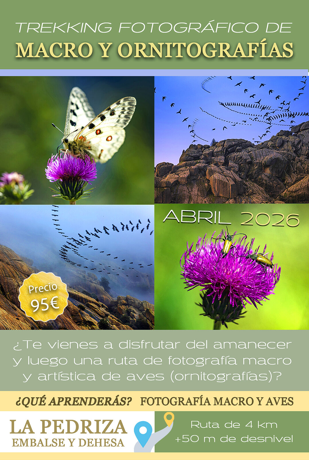 Trekking fotográfico  - ruta-fotografica-macro-y-fauna-copia-ts20251205102840246847.jpg