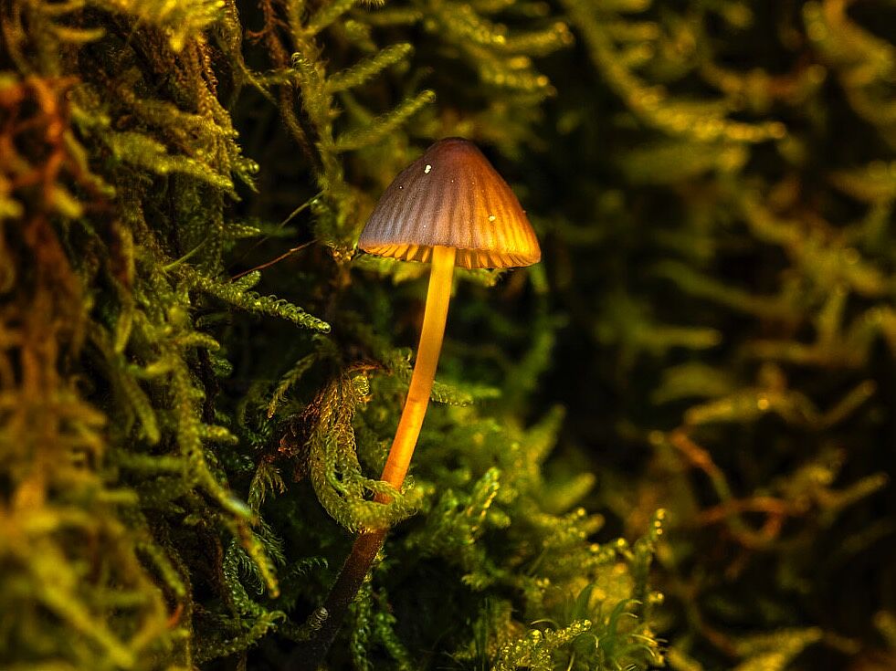 Trekking fotográfico  - _5ds9578-copia-ts20251202104720302589.jpg