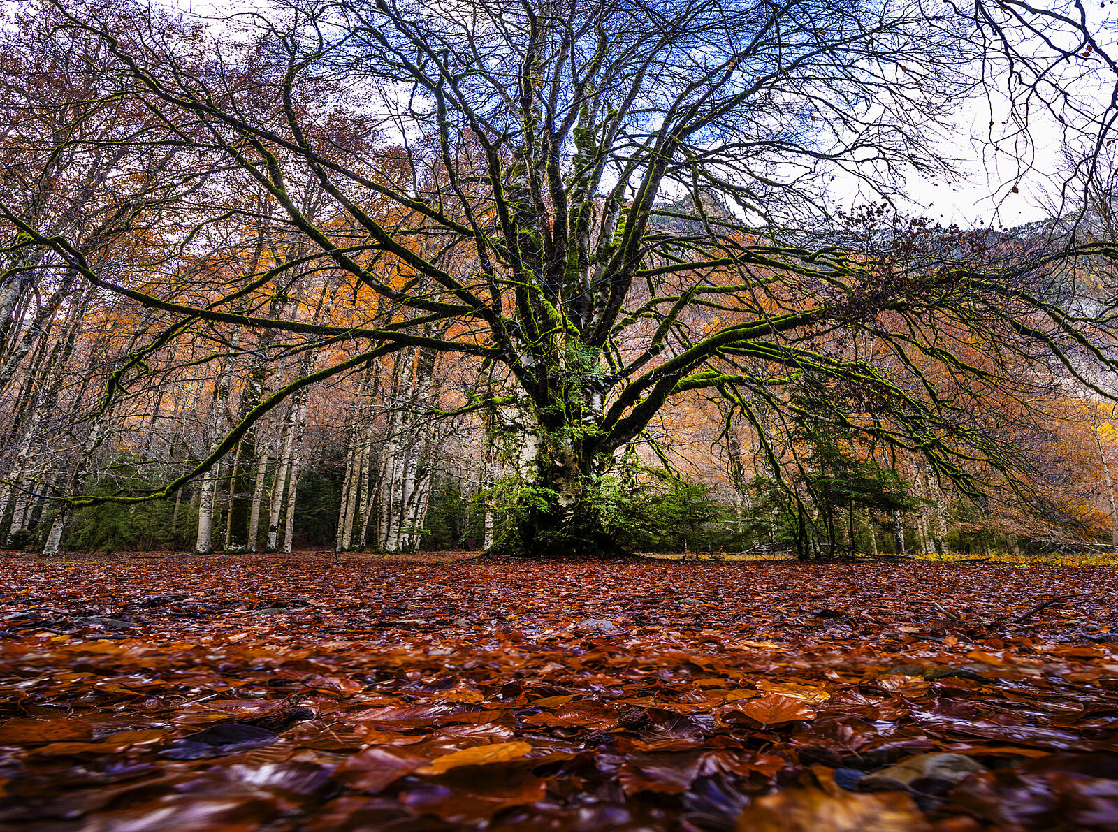 Trekking fotográfico  - _u5a1304-pano-copia-2-ts20251202104632646083.jpg