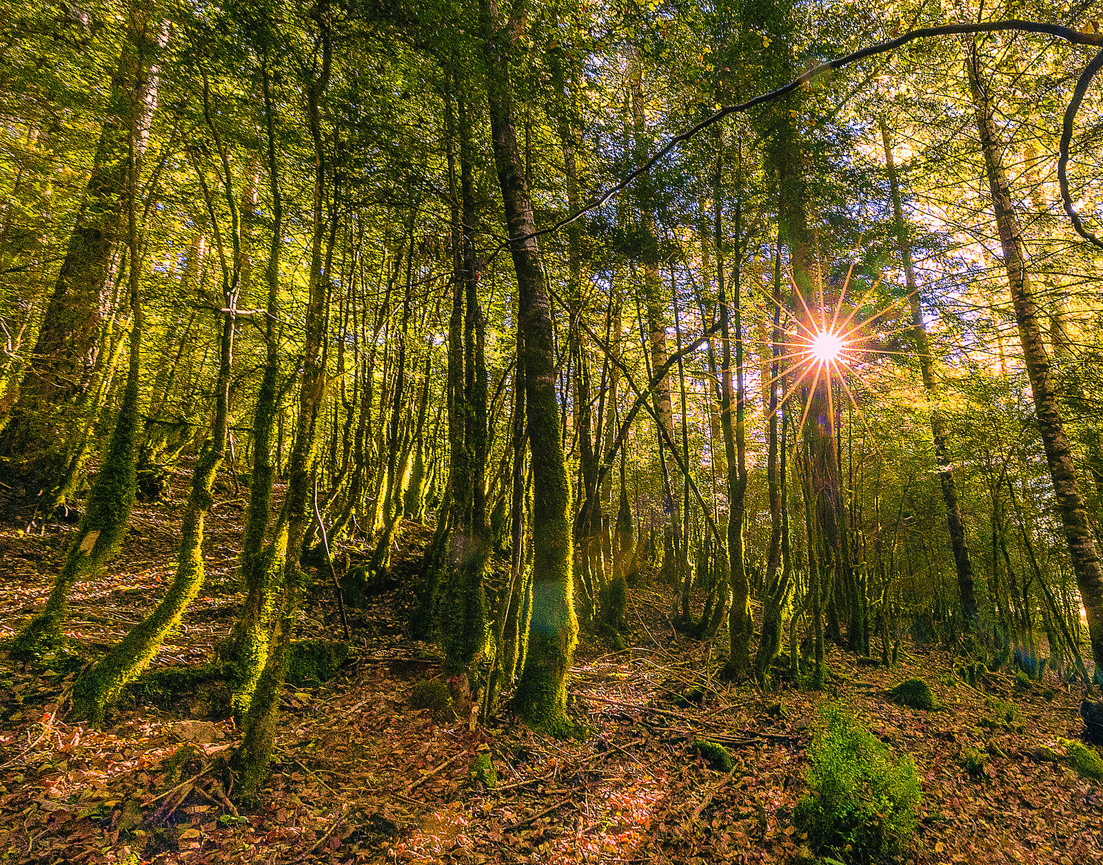 Trekking fotográfico  - _u5a6757-ts20251202104706541935.jpg