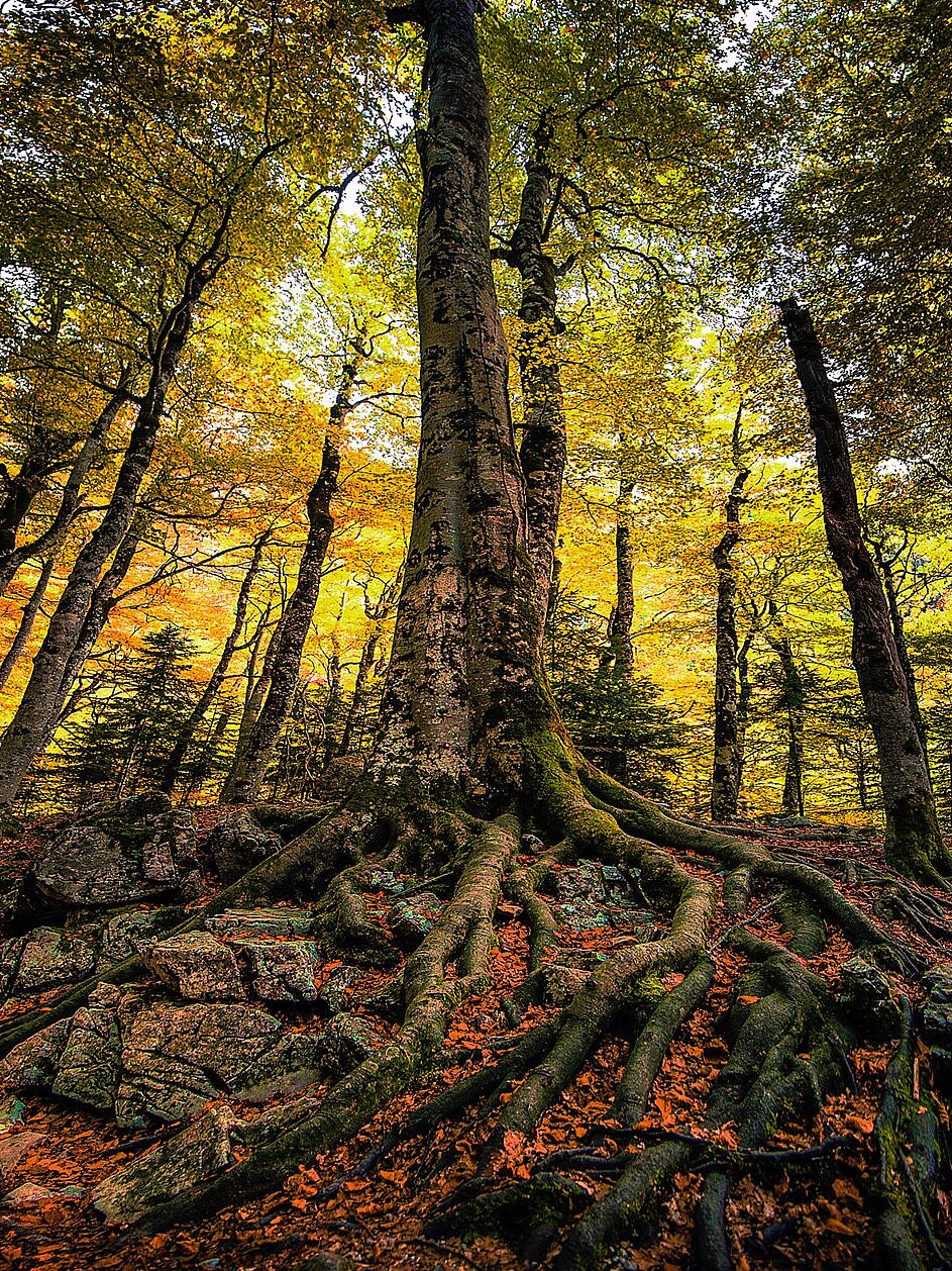 Trekking fotográfico  - _u5a7031-copia-ts20251203113623801080.jpg