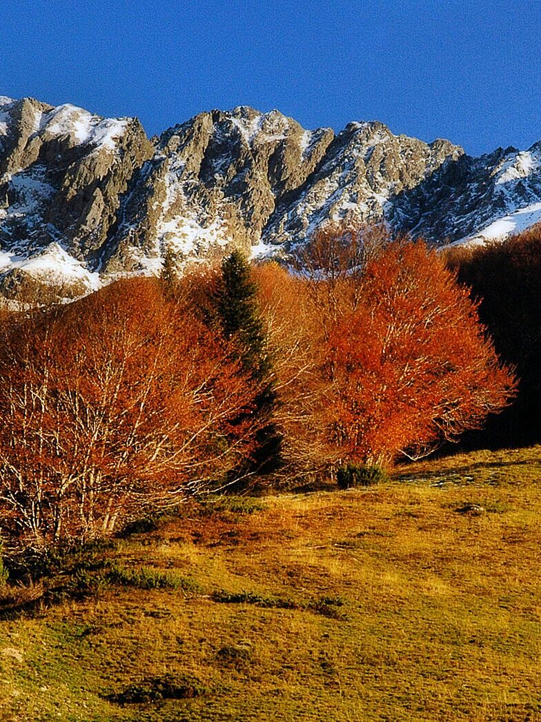 Trekking fotográfico  - dsc_6734-ts20251203113108643952.jpg