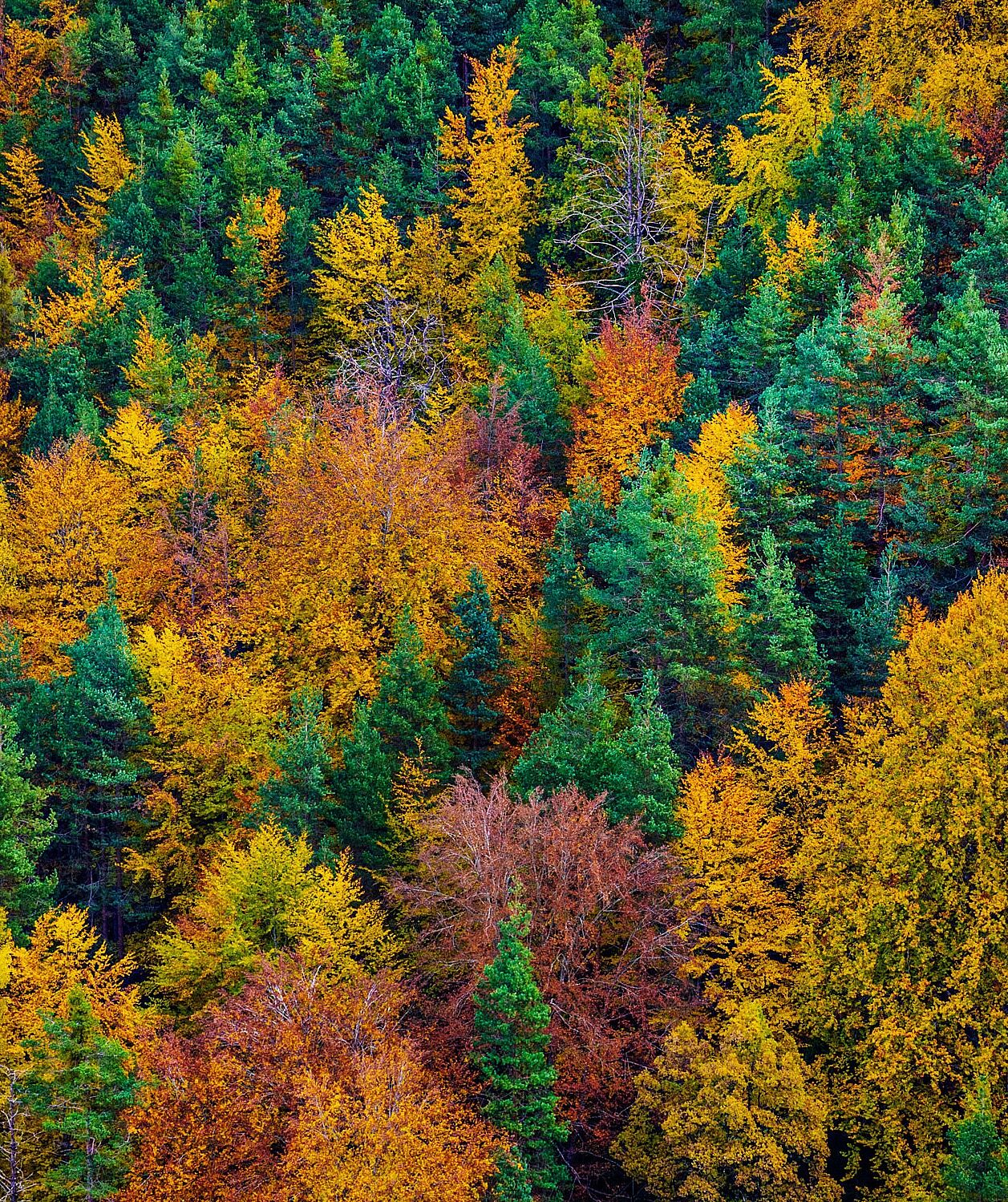 Trekking fotográfico  - z-7u5a1596-copia-2-ts20251203111407309289.jpg