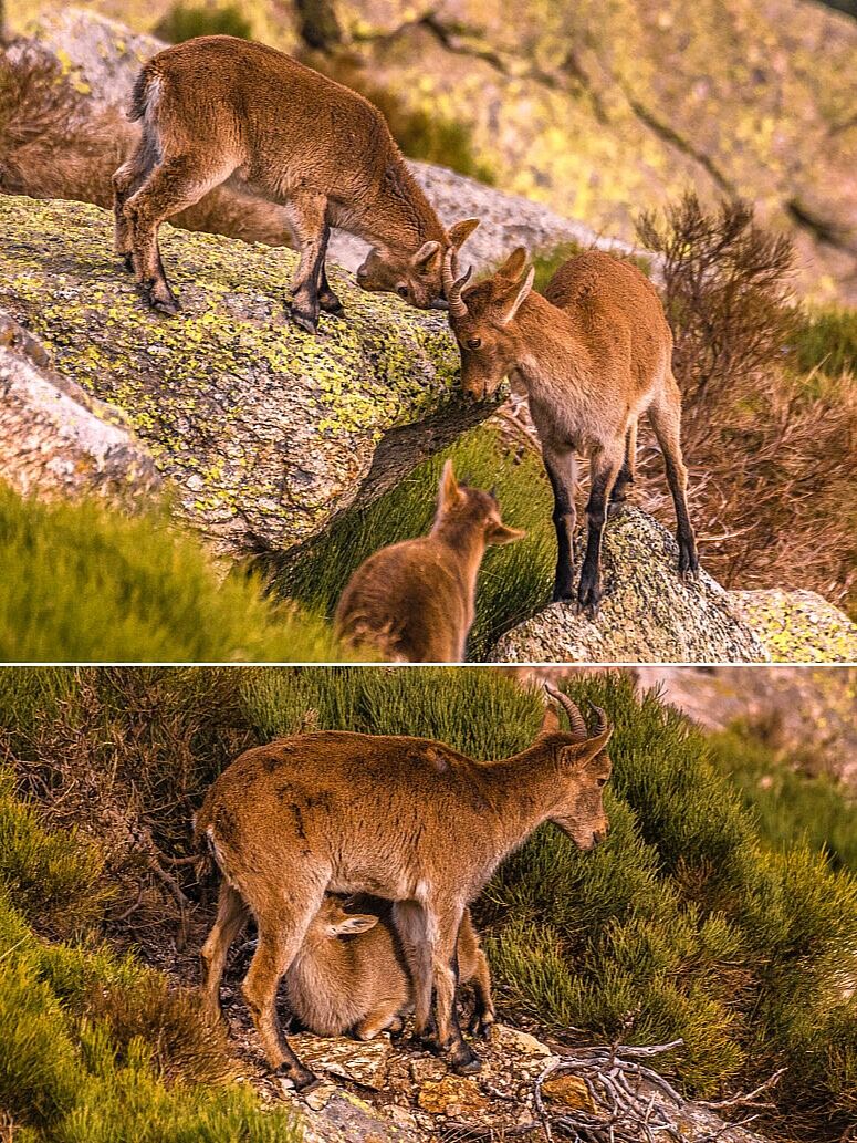 Trekking fotográfico - _u5a5845-ts20251203101209668096.jpg