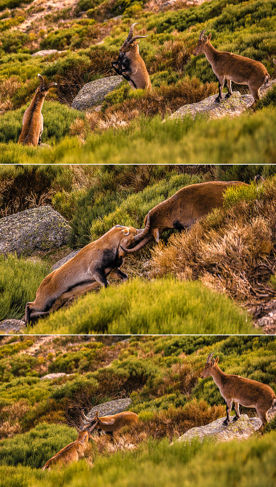 Trekking fotográfico - _u5a5929-ts20251203082231659421.jpg
