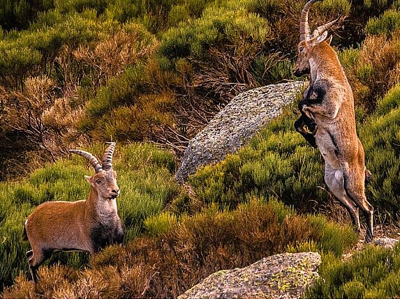 Trekking fotográfico  - _u5a5954-ts20251203082000287863.jpg
