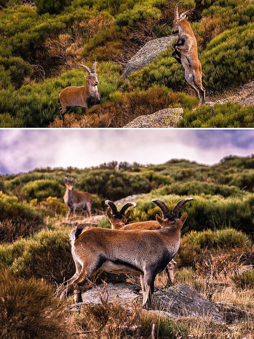 Trekking fotográfico - _u5a5954-ts20251204095646236364.jpg