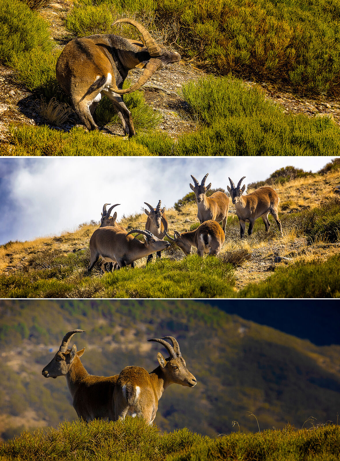 Trekking fotográfico - _u5a9648-ts20251203082257124308.jpg