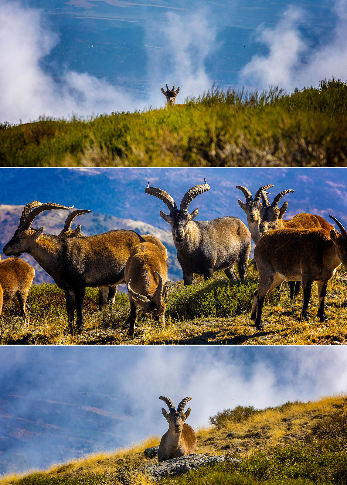 Trekking fotográfico - _u5a9658-ts20251203082246509560.jpg