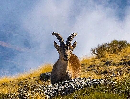 Trekking fotográfico  - _u5a9658-ts20251203102420394503.jpg