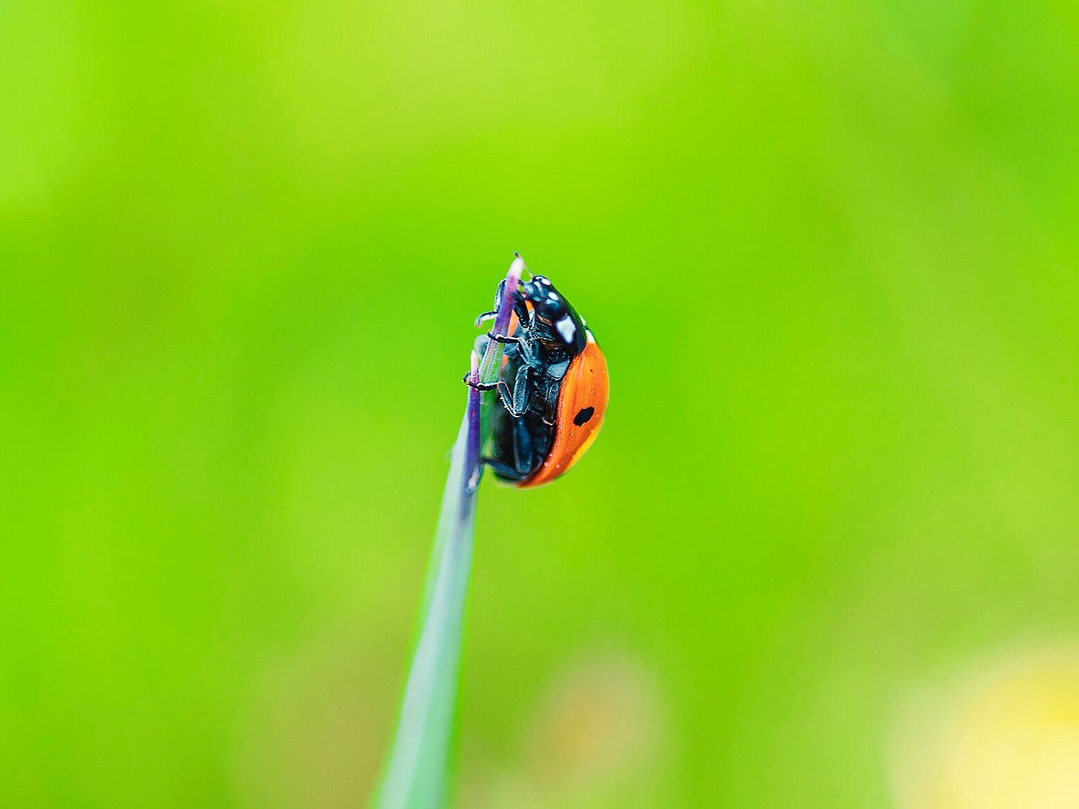 Trekking fotográfico  - _mg_2942-copia-ts20251126085409435315.jpg