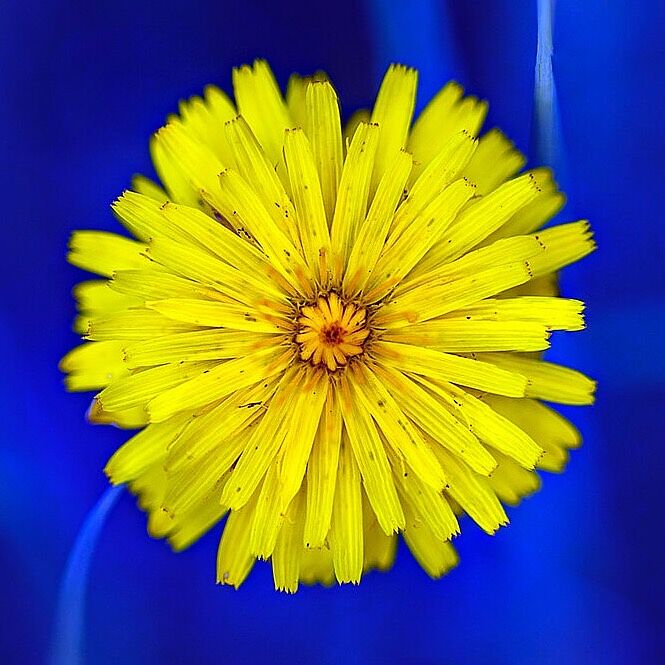 Trekking fotográfico - _u5a1132-copia-ts20251126091914614874.jpg