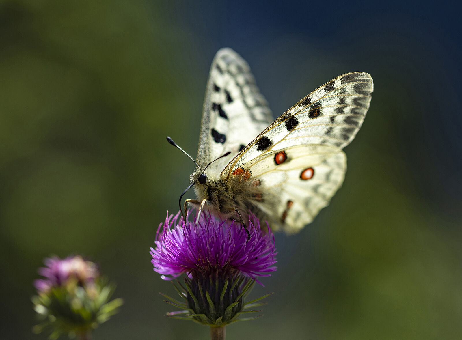 Trekking fotográfico - _u5a1430-ts20251126091130105403.jpg