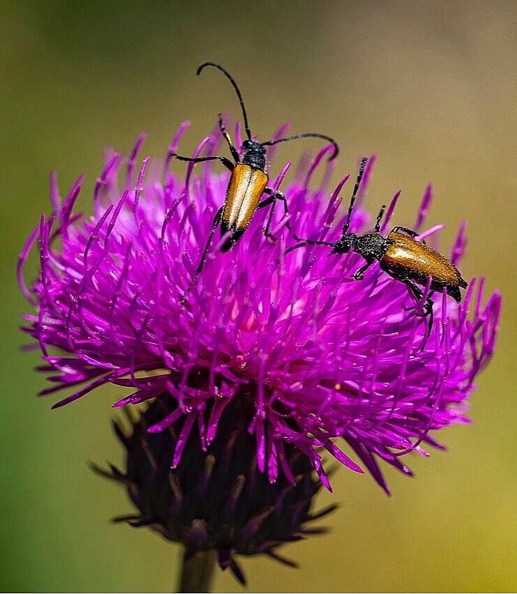 Trekking fotográfico - _u5a1464-ts20251204124508829304.jpg