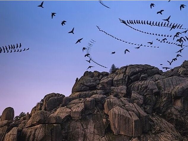 Trekking fotográfico  - z-ornitografias-ts20251126090417219559.jpg