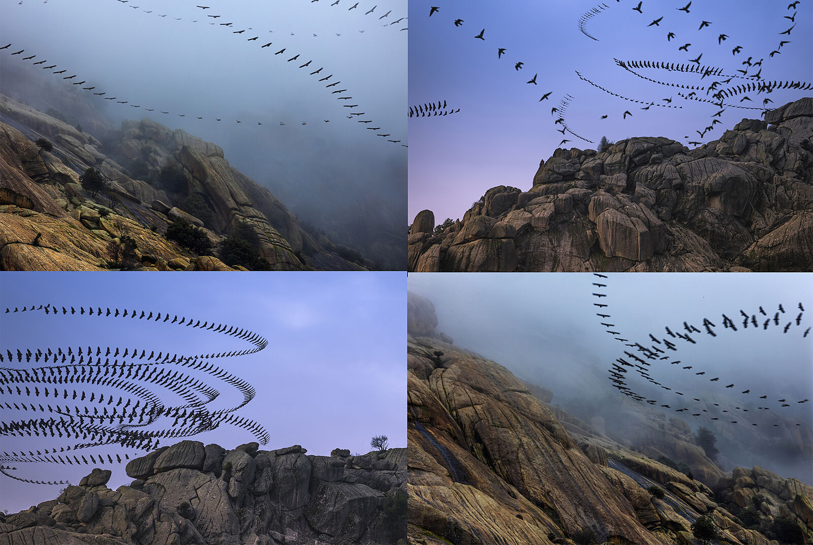 Trekking fotográfico - z-ornitografias-ts20251126091136708193.jpg