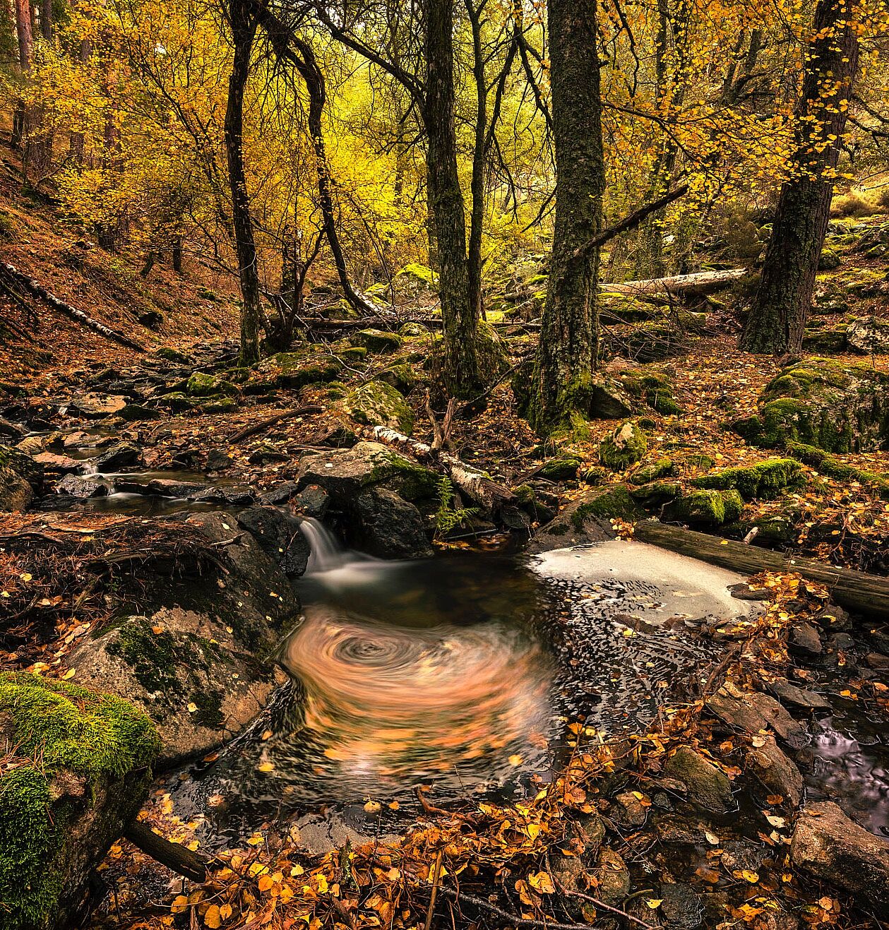 Trekking fotográfico - 1-ts20251203103140863389.jpg