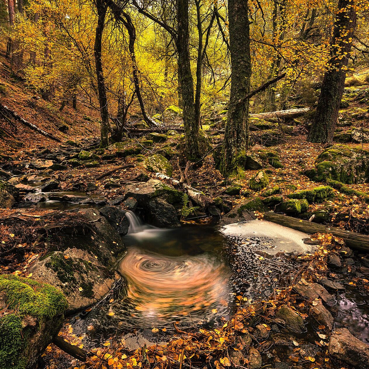 Trekking fotográfico - 1-ts20251203103527740245.jpg