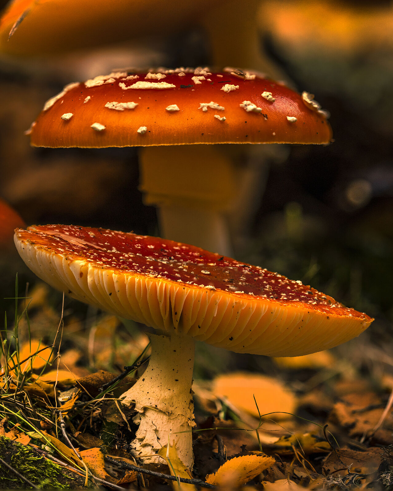 Trekking fotográfico - 2-ts20251203073447391176.jpg