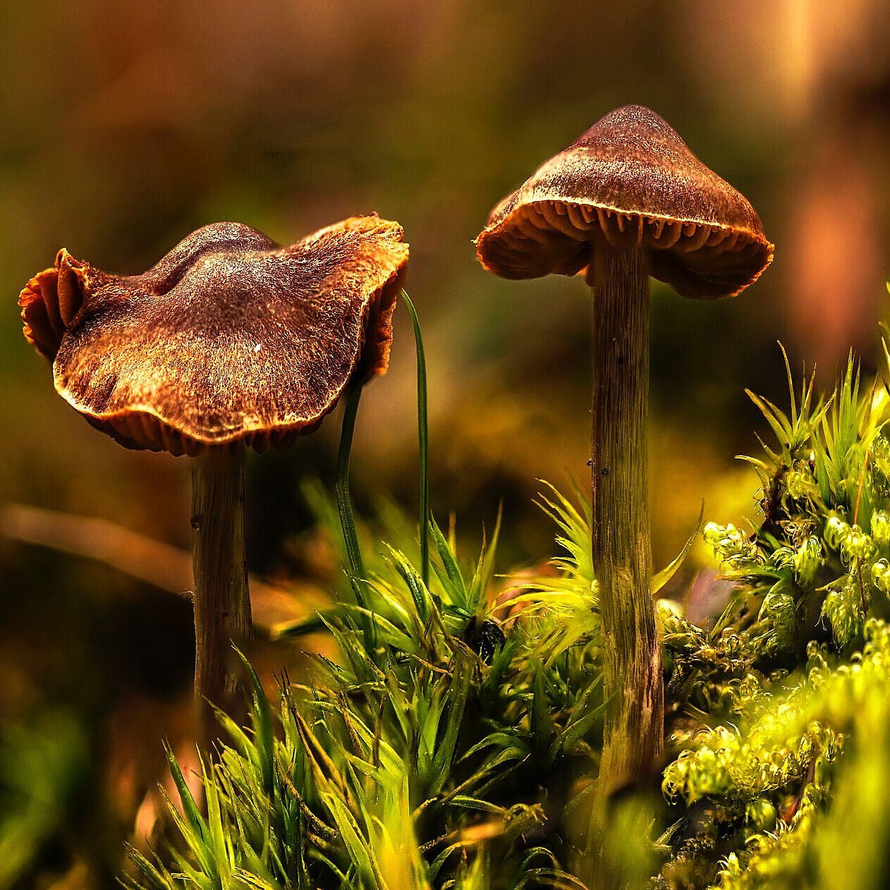 Trekking fotográfico  - 4-ts20251203073051328060.jpg