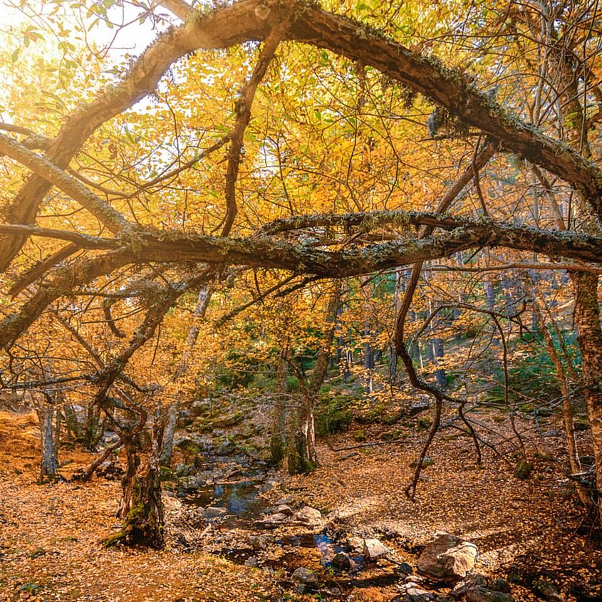 Trekking fotográfico  - _80a8009-copia-ts20251203073051845748.jpg