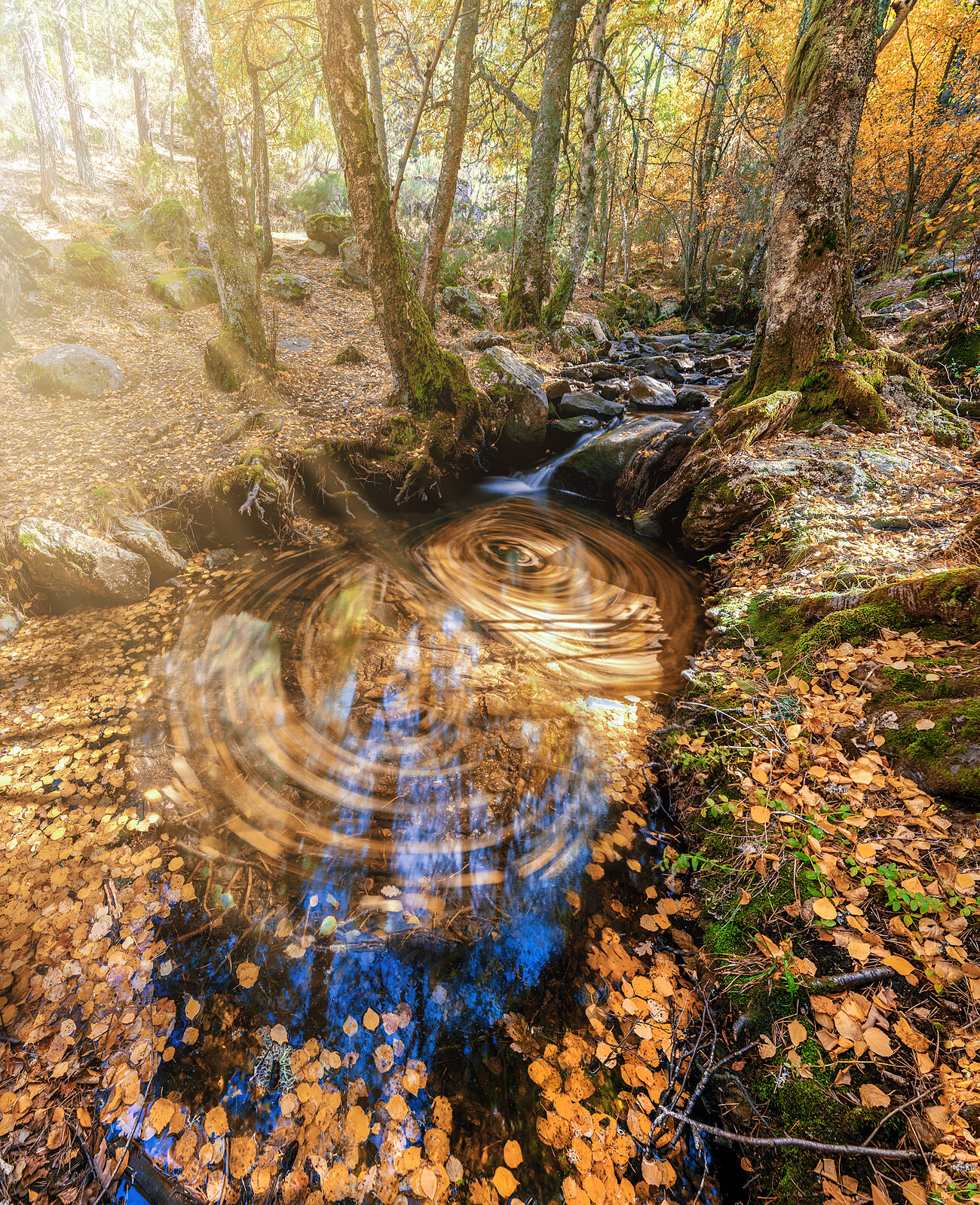 Trekking fotográfico - _80a8065-copia-2-ts20251203073412383446.jpg