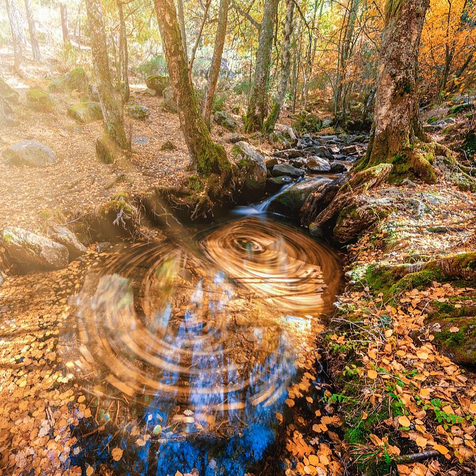 Trekking fotográfico  - _80a8065-copia-ts20251203073050333434.jpg