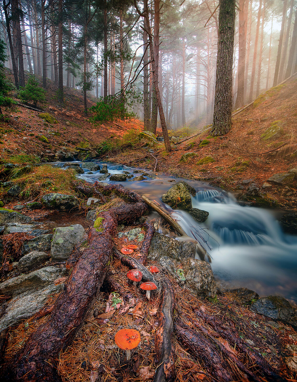 Trekking fotográfico - z-680a9010-editar-editar-ts20251203073406715695.jpg