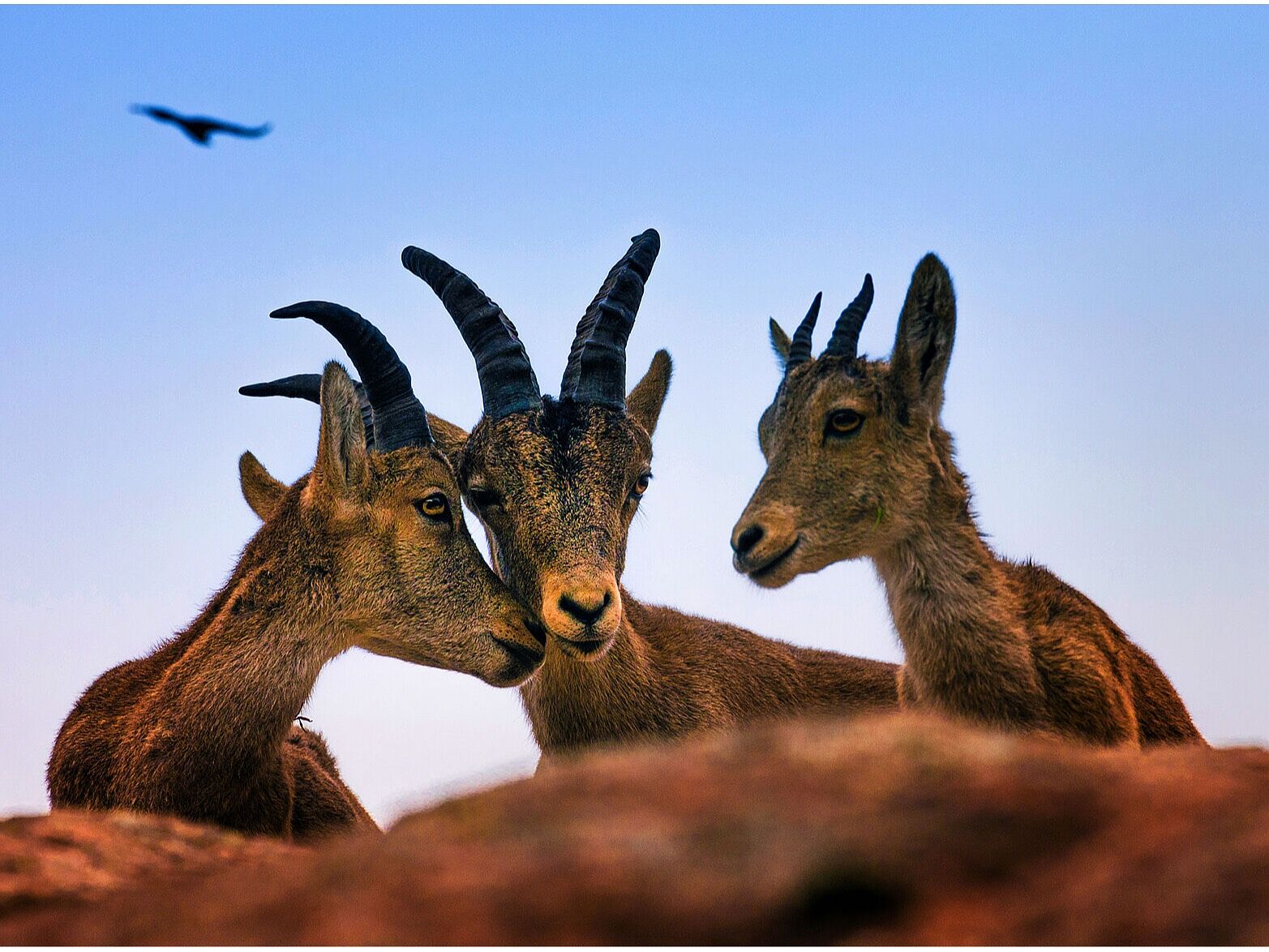 Trekking fotográfico  - z-11-ts20251124170248708142.jpg