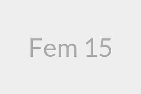 Fem 15