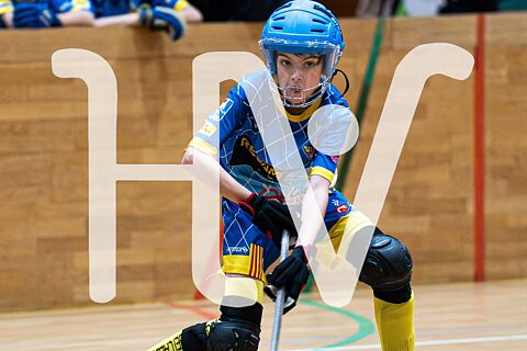 Aleví: UEH A 🆚 Caldes