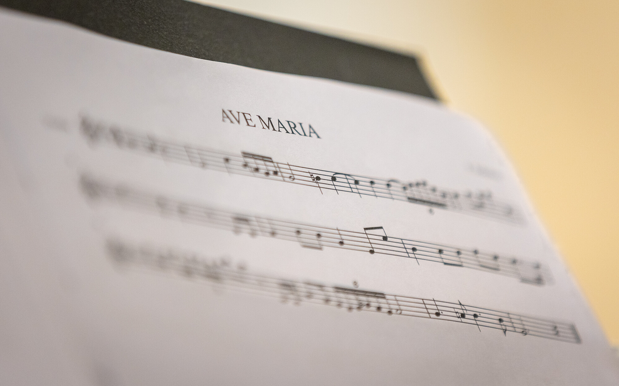 fotografia de boda bonita, elegante y natural-josan fotografo-19a