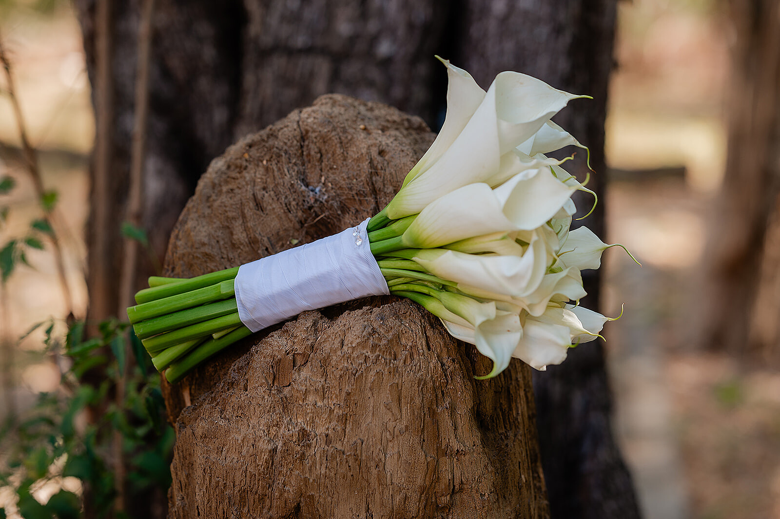 Guillermo & Kristen-14