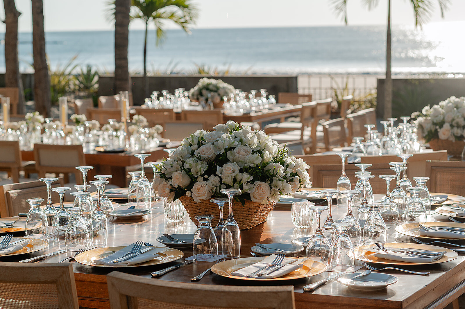 Guillermo & Kristen-209