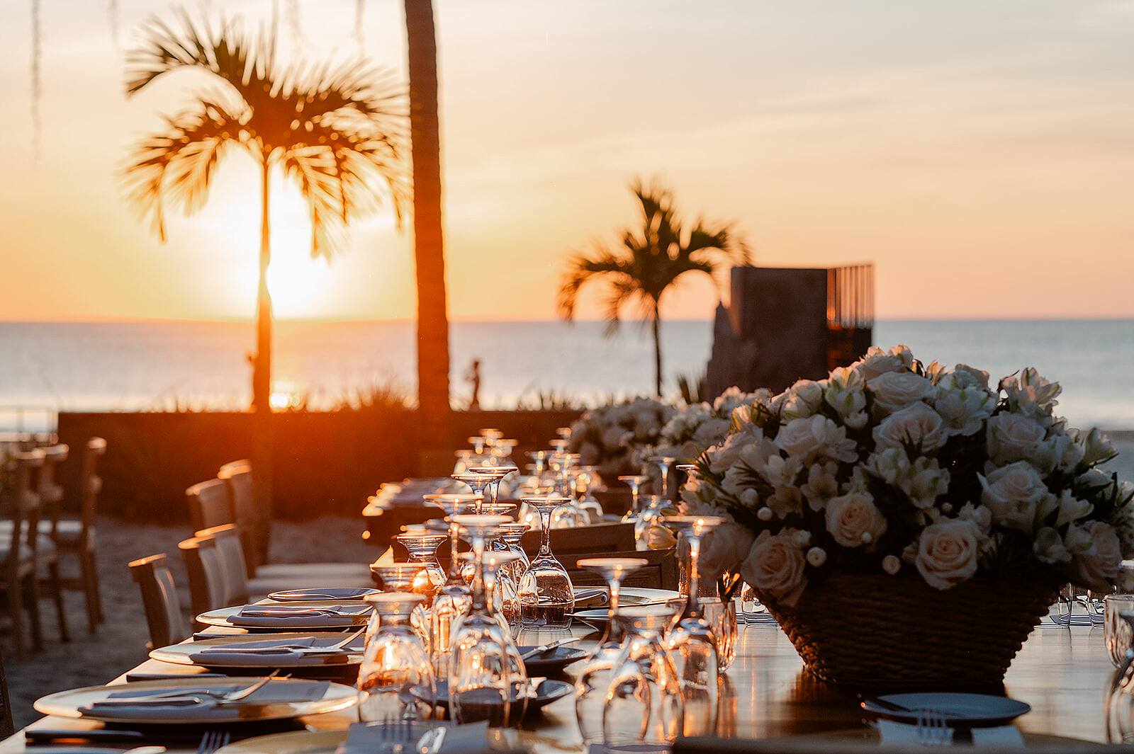 Guillermo & Kristen-464