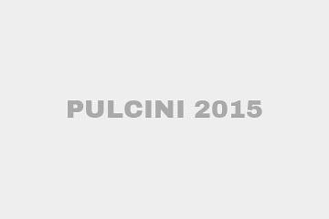 PULCINI 2015