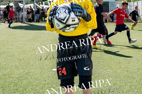 RED TIGERS AZZURRA