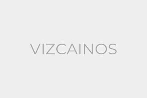 VIZCAINOS