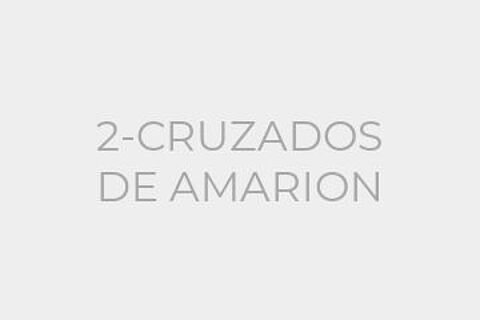 2-CRUZADOS DE AMARION
