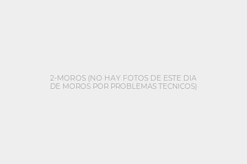 2-MOROS (NO HAY FOTOS DE ESTE DIA DE MOROS POR PROBLEMAS TECNICOS)